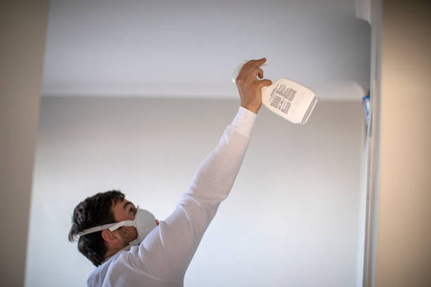Best Home Mold Removal  in Weeping Water, NE